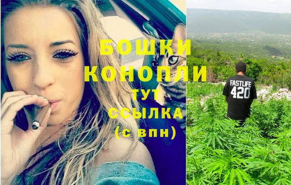 гидра Арсеньев