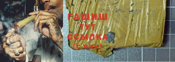 гидра Арсеньев