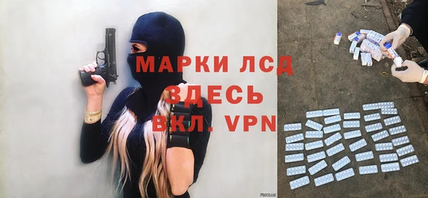 гидра Арсеньев