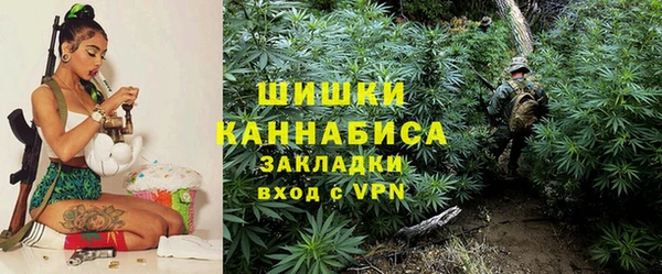 гидра Арсеньев