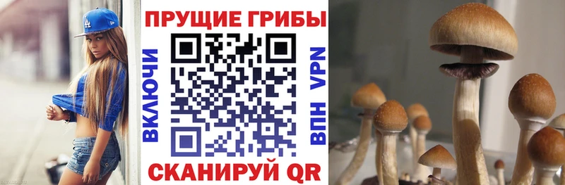 Псилоцибиновые грибы MAGIC MUSHROOMS  Тайшет 